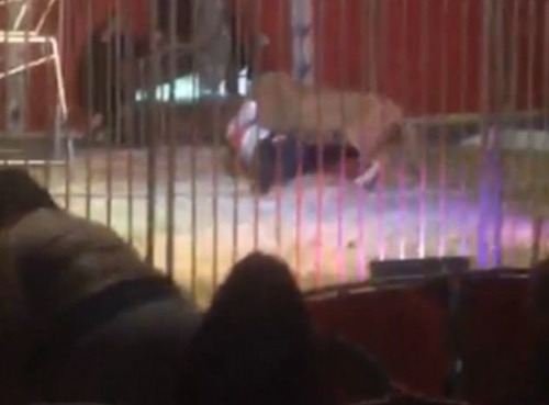 VIDEO hororu v cirkuse: