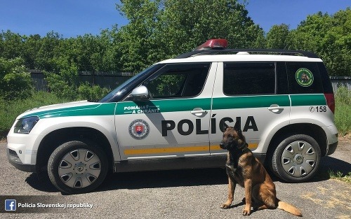 Hrdinský čin policajného psa