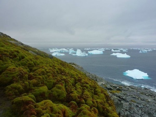 Vedci sú zhrození: Antarktída