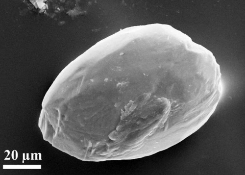 Mikroskopická čiastočka z púšte by mohla pomôcť objasniť ľudský pôvod.