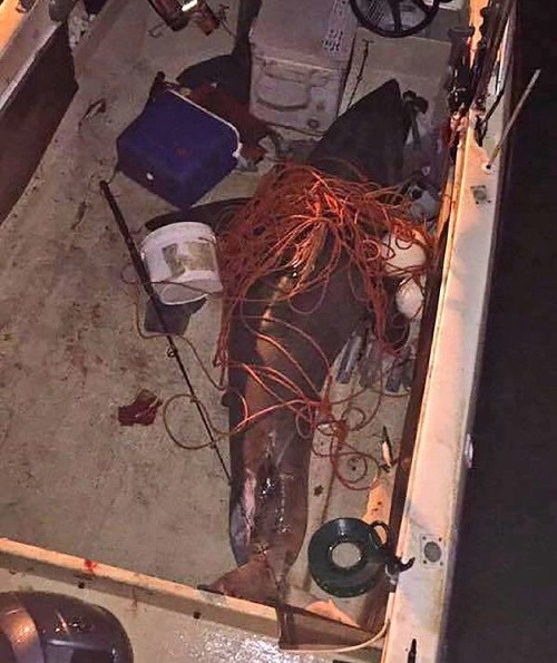 Rybár prežil najdesivejšie chvíle
