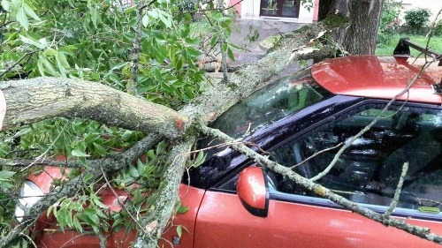 V Česku padali stromy aj na autá. Zdroj: HZS Olomouckého kraje