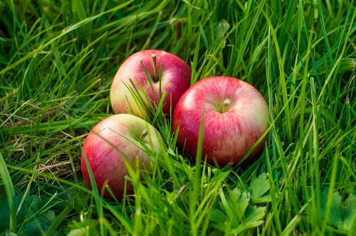 Takto vzniká nápoj, v