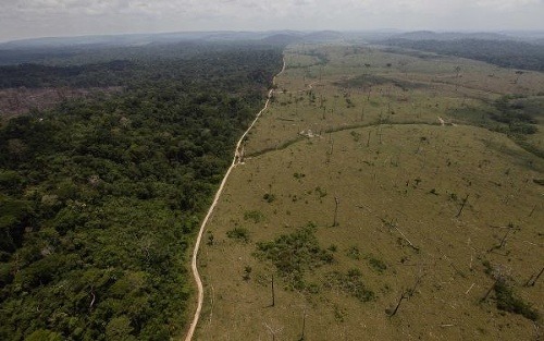 Odlesňovanie v Amazonskom pralese