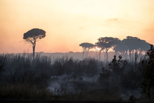Taliansko bojuje s plameňmi: