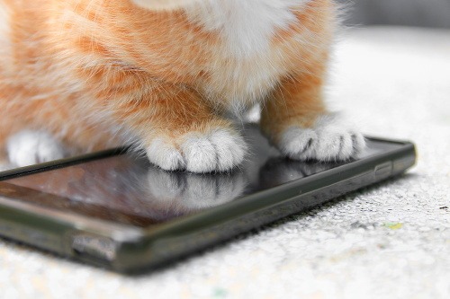 10 najčastejších RIP, ktoré