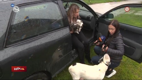Kristína Kövešová a Zuzana, ktorá prevádzkuje občianske združenie za účelom hľadania nového domova pre nechcených psíkov, od Mikuláša zobrali fenku a dve šteniatka.