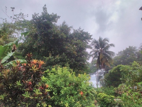 Ten istý výhľad, ten istý kokos, časový rozdiel 10 hodín. La Plaine, Dominika.
