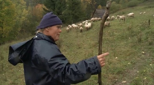 Jana ako aktuálna farmárka týždňa nesie aj najväčšiu zodpovednosť. Informácia, že sa stratilo 48 oviec ju preto vôbec nepotešila.