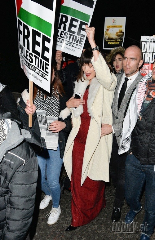 Bella Hadid po ceste do hotela zbadala protestujúci dav a pridala sa k nim.