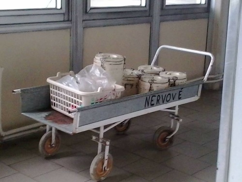 Slovenské nemocnice sú v