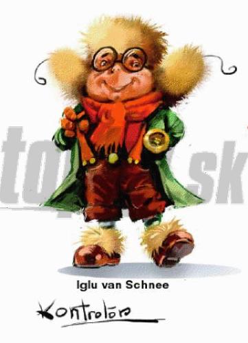 Iglu van Schnee