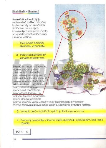 webasto chyba f53