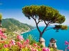 Amalfi Amalfi