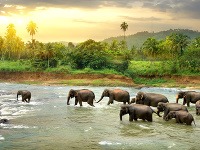 Srí Lanka Srí Lanka