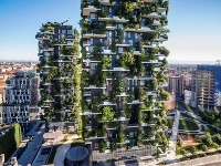 Bosco Verticale Bosco Verticale