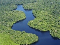 Amazonský prales, Brazília Amazonský prales, Brazília