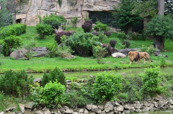 Zoo Zlín, Česká republika