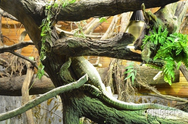 Zoo Zlín, Česká republika