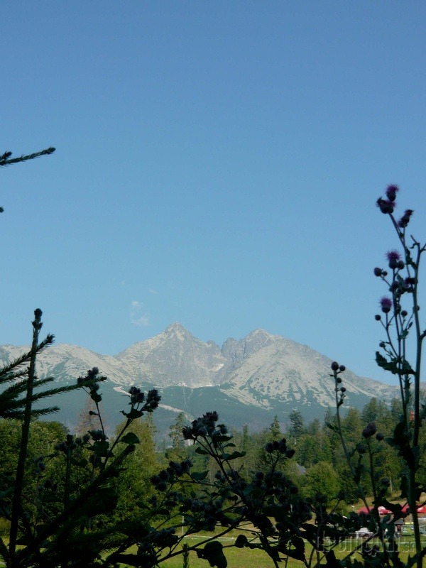 Vysoké Tatry