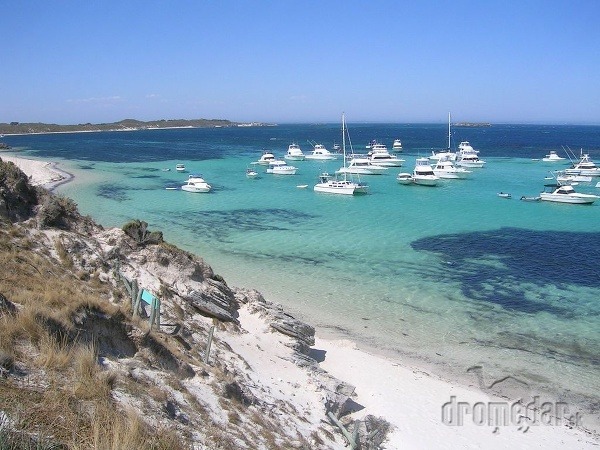 Rottnest Island