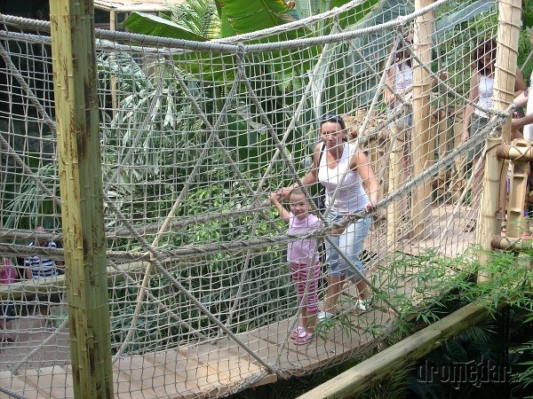 Zoo Nyiregyhaz, Maďarsko