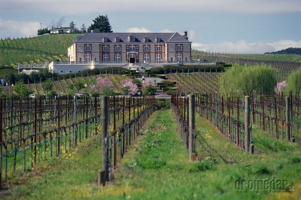 Napa Valley, Kalifornia, USA