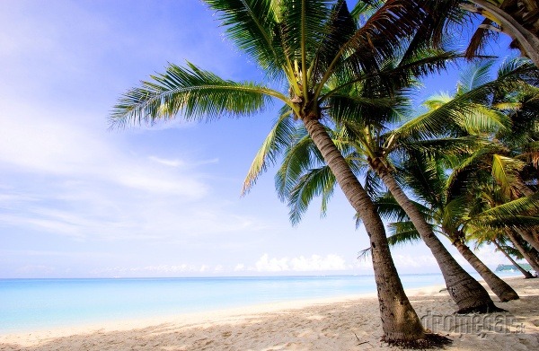 Bohol je rajom pre