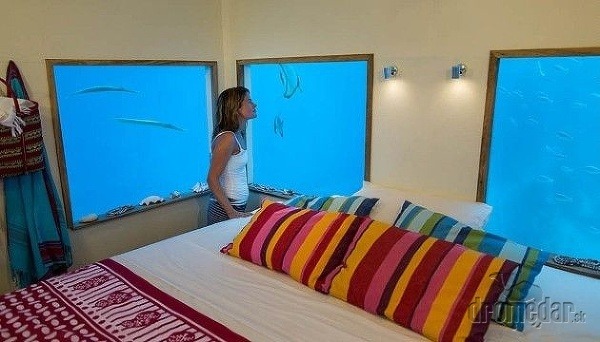 Underwater Room, The Manta