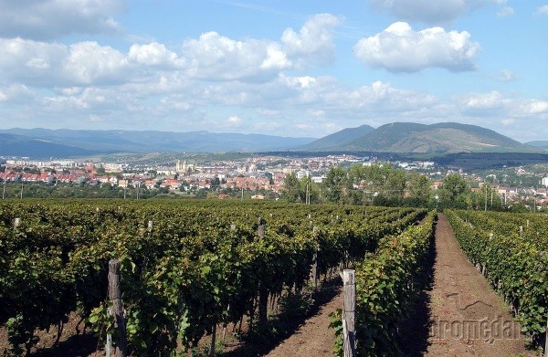 Maďarsko