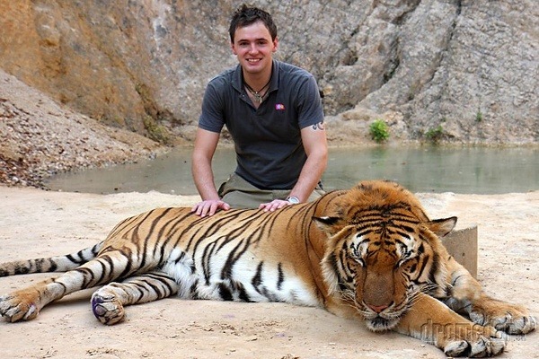 Tiger indočínsky