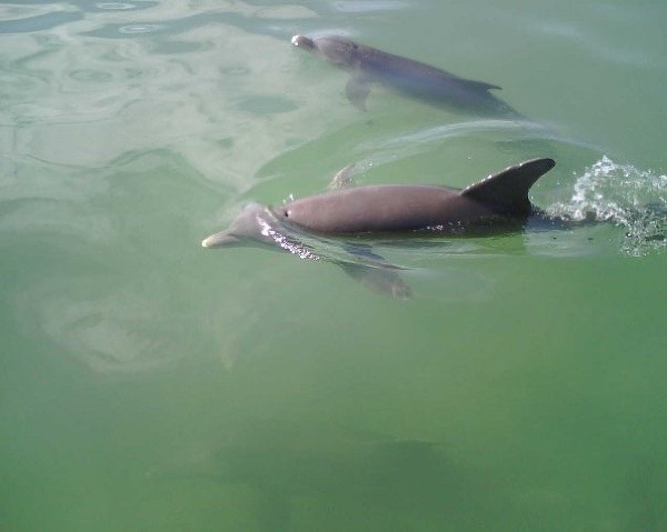 Florida Keys, USA
