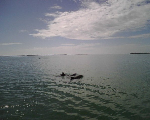 Florida Keys, USA