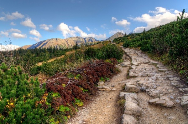 Tatry