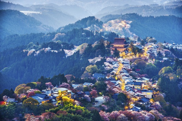 Kvitnutie čerešní, Japonsko