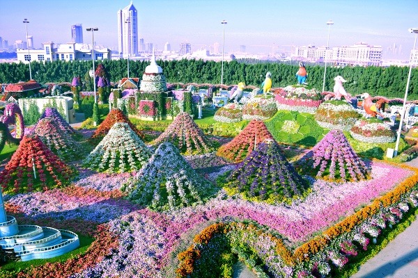 Foto: Dubai Miracle Garden