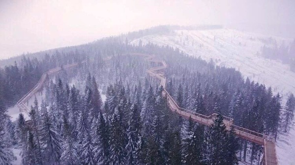 Chodník korunami stromov, Bachledova