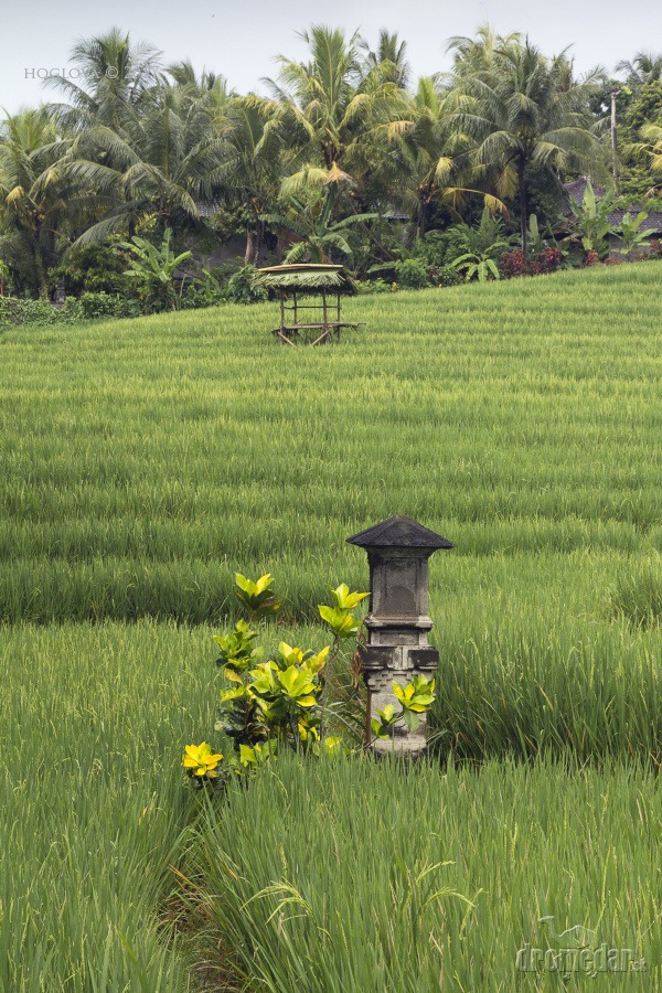 Bali, Indonézia