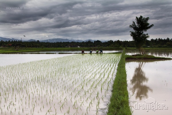 Bali, Indonézia
