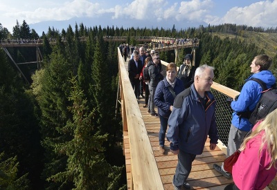 V korunách stromov V korunách stromov