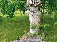 Juhočeskou výtvarníčkou vytvorené útočisko