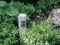 JAponská lampa s miestom