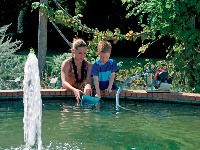 Záhrada - keď technika