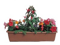 Prehliadka krásy na balkónoch