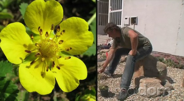 VIDEO: Ucelená kompozícia otvoreného