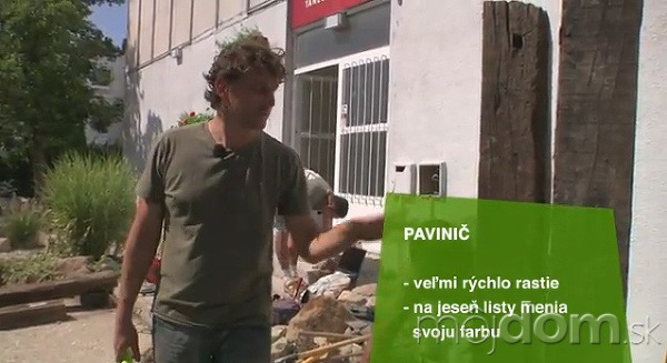 VIDEO: Ucelená kompozícia otvoreného
