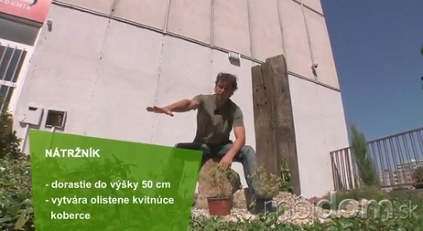 VIDEO: Ucelená kompozícia otvoreného