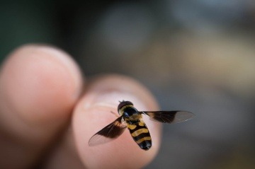 Alergická reakcia: Vystriekajte ústa Alergická reakcia: Vystriekajte ústa