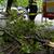 V Pre�ovskom kraji vyvracalo stromy, hladiny riek st�pli