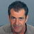 Mel Gibson, zatknutie, SITA